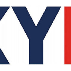 Collection image for: SkyRC