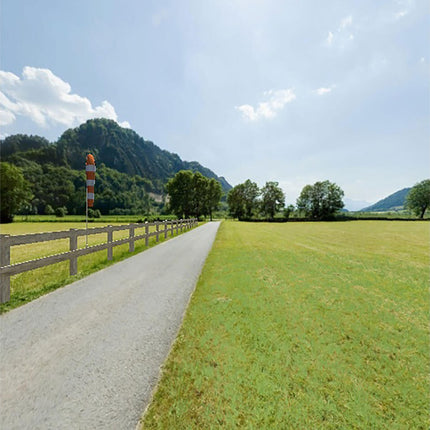 RealFlight Trainer Edition Flight Simulator w/WS2000 Wireless USB Dongle RFL1212