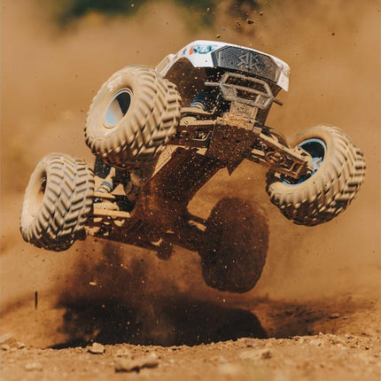 Arrma Freedom Flyer 223S BLX 1/10 2WD RTR Brushless Monster Truck ARA3530SFFT1