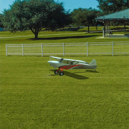 RealFlight Evolution RC Flight Simulator (Software Only) (Steam download)
