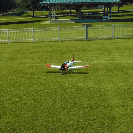 RealFlight Evolution RC Flight Simulator (Software Only) (Steam download)